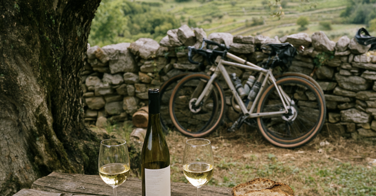 Bike & Wine | 17.10. at 11:00