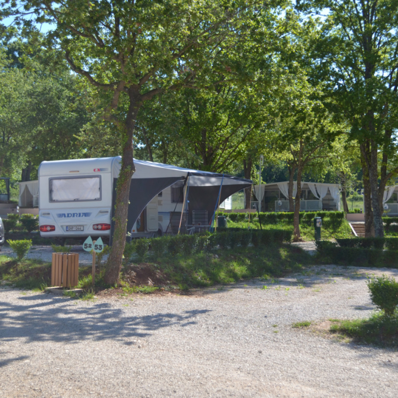 Polidor - zimski paušal