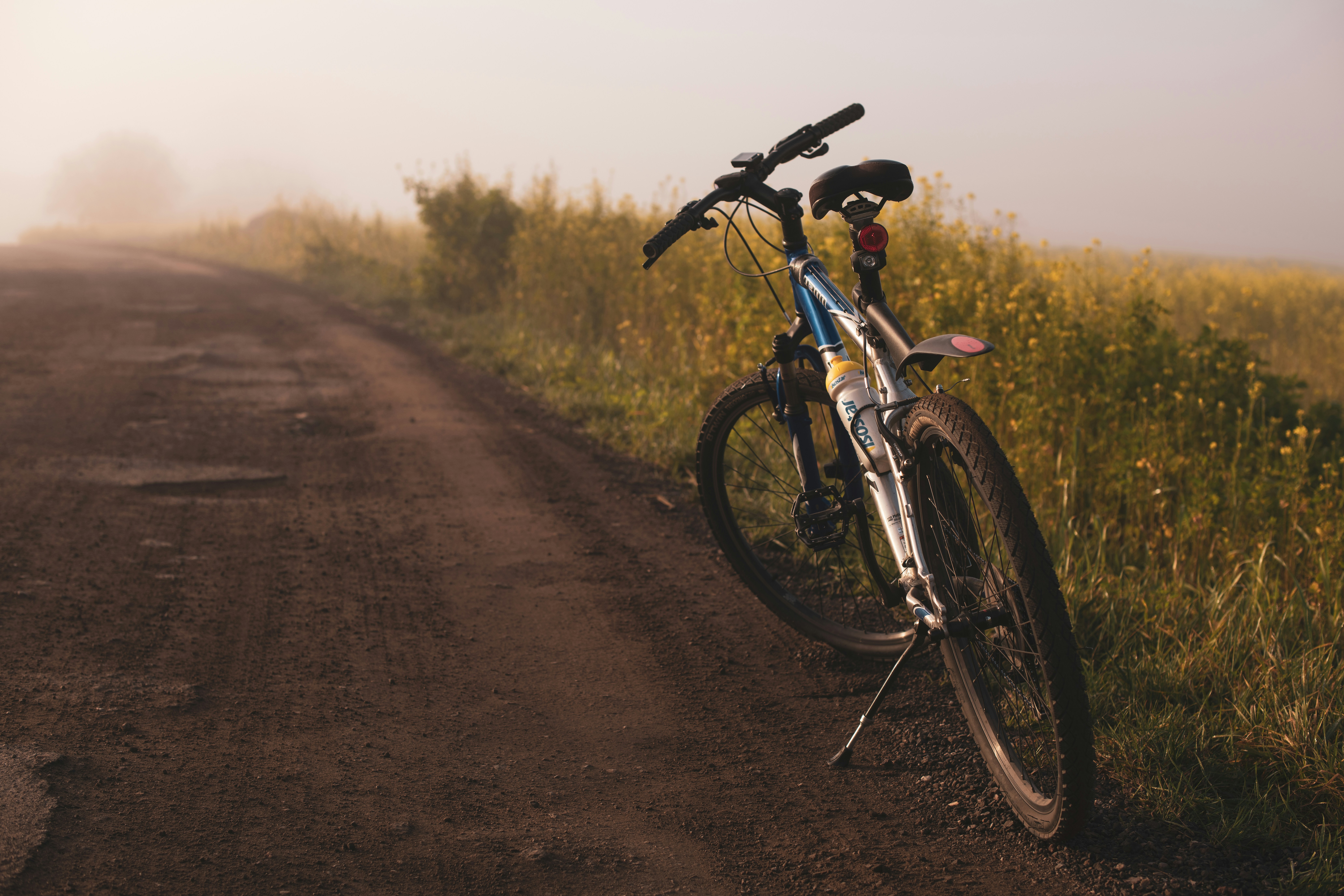 Bike and Wine iskustvo u Istri