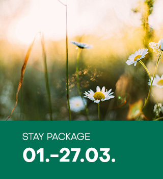 Welcome Spring at Polidor